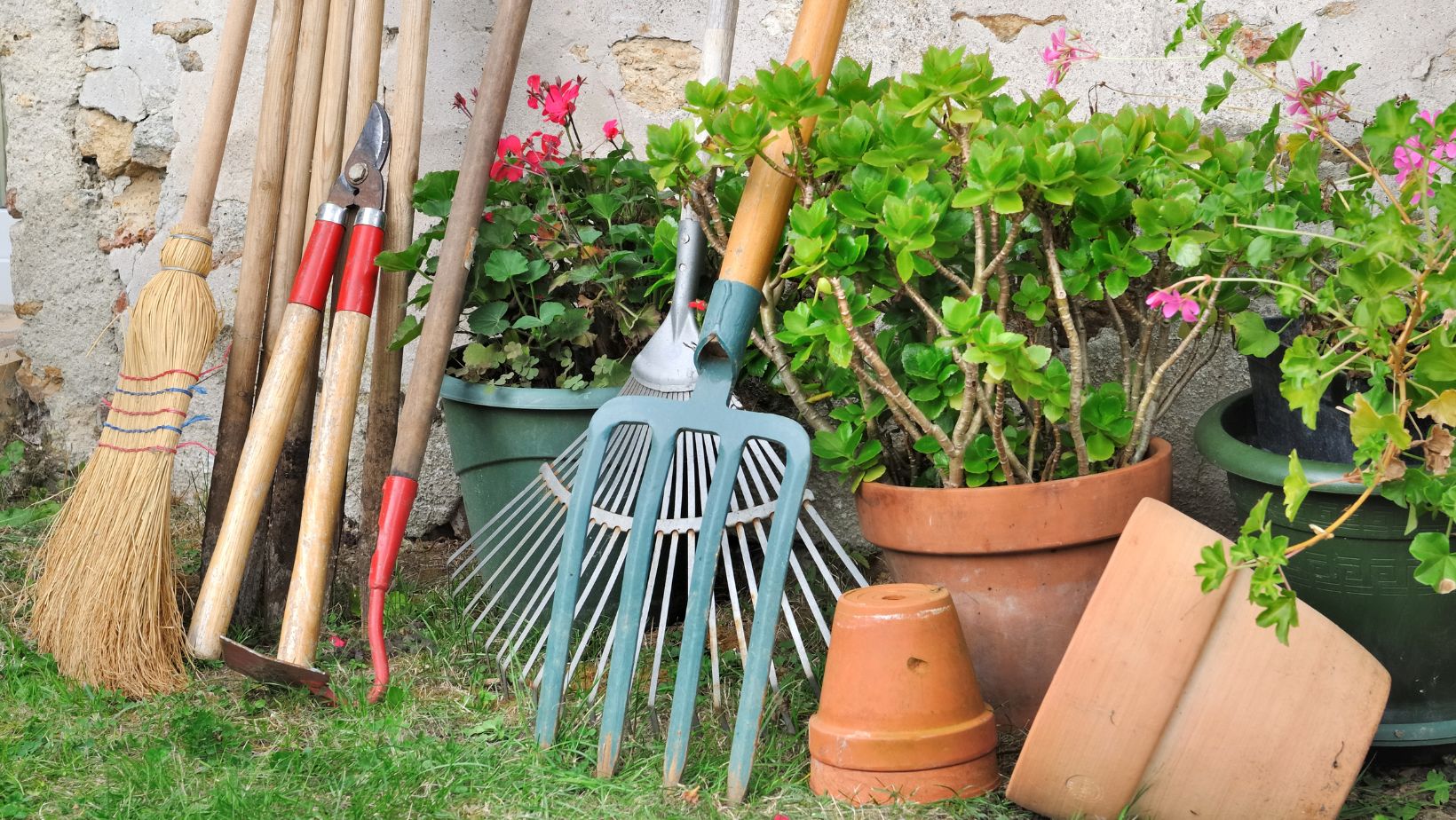 gardening tool hoe